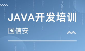 成都四川國信安職業培訓學校 河北新聞網推薦品牌，專注軟件外包服務